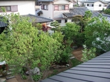奈良県四条大路の家：植栽